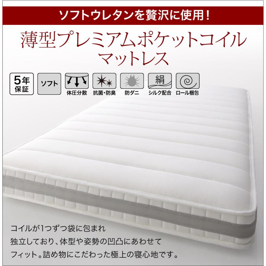 〔組立設置料込み〕跳ね上げ収納ベッド 〔レナーチ-DB〕 ダークブラウン 〔薄型プレミアムポケットコイルマットレス付き〕 横開き セミシングル レギュラー