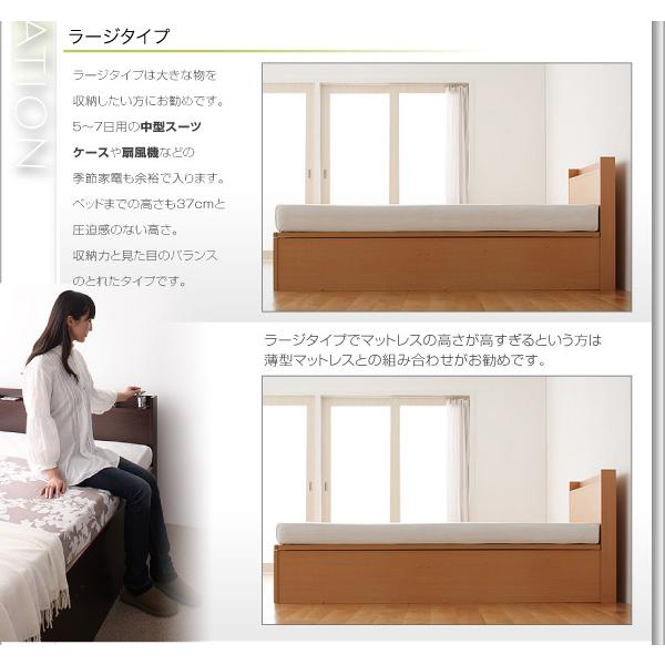 跳ね上げ収納ベッド 〔Freeda〕 〔薄型スタンダードボンネルコイル