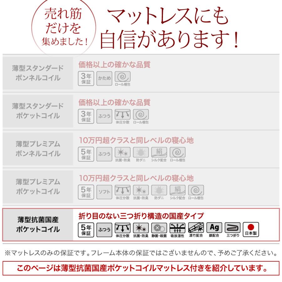 【セール】跳ね上げ収納ベッド リグレス 〔薄型抗菌国産ポケットコイルマットレス付き〕 縦開き セミシングル 深さグランド ダークブラウン