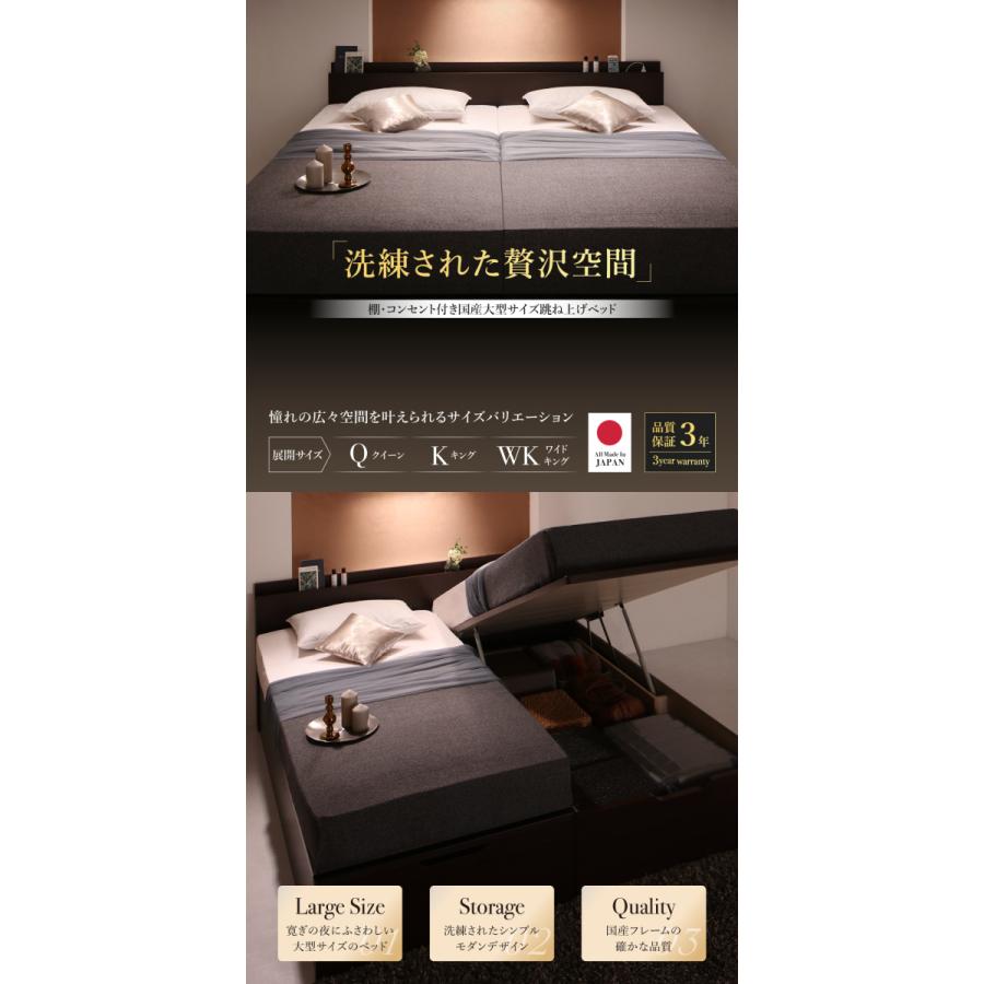 棚付 跳ね上げ収納ベッド ランデルッツ 〔ベッドフレームのみ