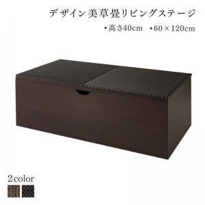 国産 収納付きデザイン美草畳リビングステージ 〔風凛〕フーリン 畳ボックス収納 120×60cm（一畳×1） ハイタイプ（高さ40cm） 〔畳色〕ブラック