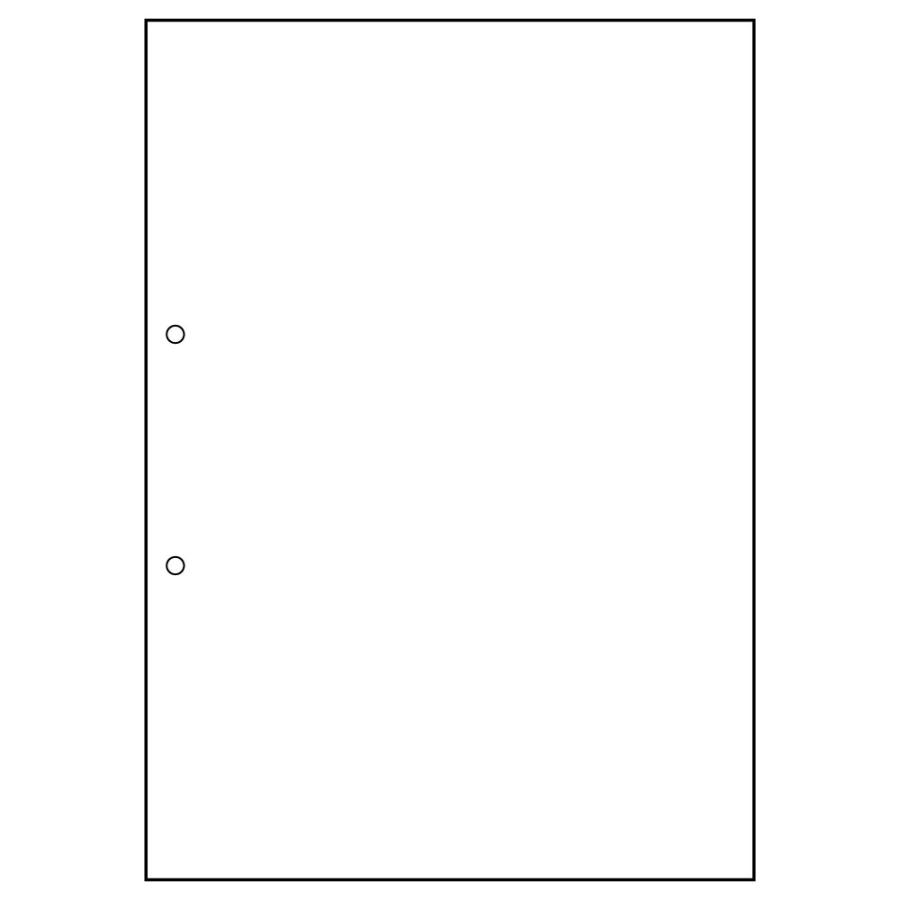24時間限定 まとめ買い ヒサゴ Fsc認証 マルチプリンタ帳票 白紙 2穴 10枚入 Fsc01z 3 box キリーショップ 通販 Yahoo ショッピング 珍しい Gestion Etechnologies Shop