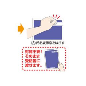 ヒサゴ マルチプリンタ帳票 A4 裏地紋 密封式 源泉徴収票用 100シート入 BP2069Tの画像