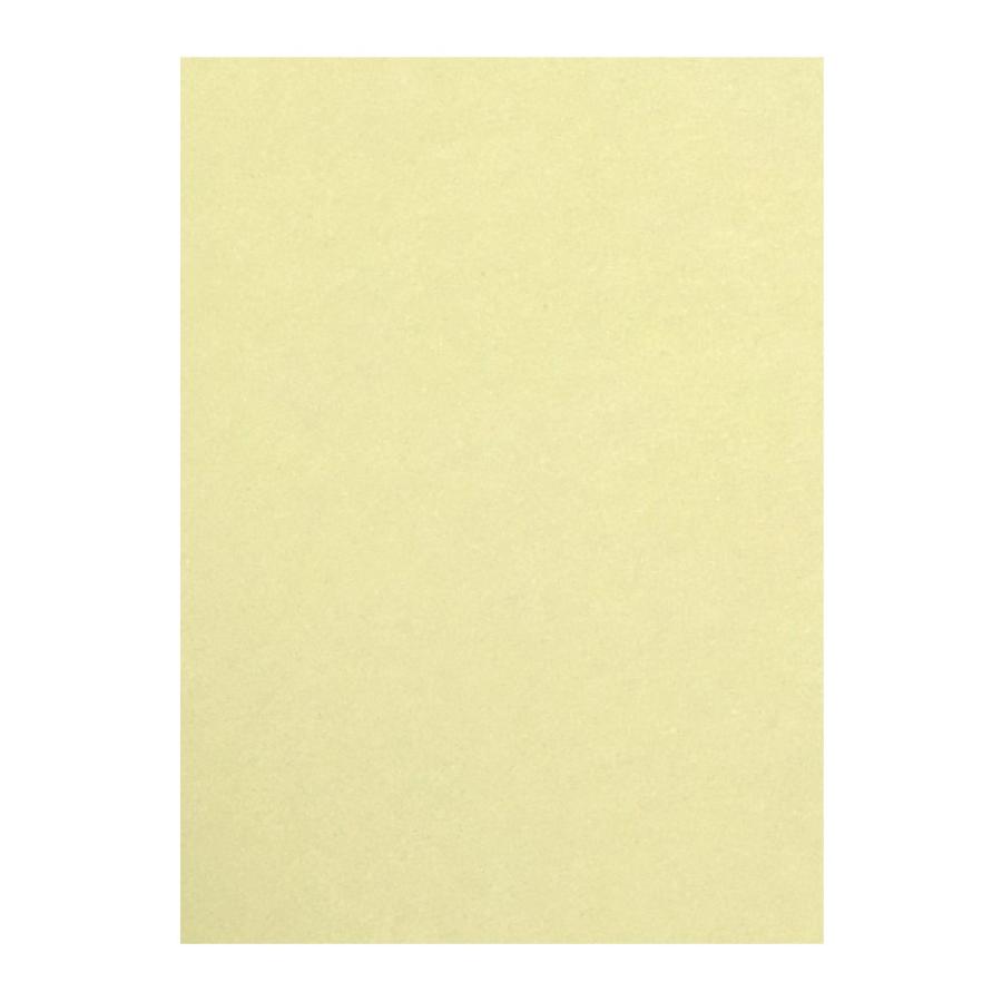 （まとめ買い）リンテック 色画用紙 ニューカラー 4切判 392×542mm 100枚 クリーム GO4NCR-101 〔×3〕
