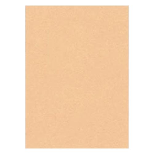 （まとめ買い）リンテック 色画用紙 ニューカラー 4切判 392×542mm 100枚 うすだいだい GO4NCR-103〔×3〕