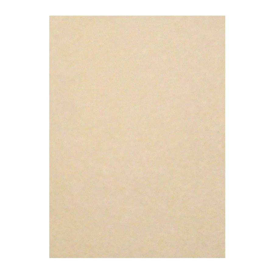 （まとめ買い）リンテック 色画用紙 ニューカラー 4切判 392×542mm 100枚 しらちゃ GO4NCR-111 〔×3〕