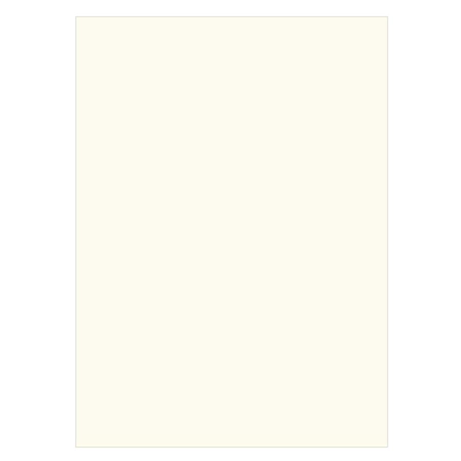 （まとめ買い）リンテック 色画用紙 ニューカラー 4切判 392×542mm 100枚 うすクリーム GO4NCR-112〔×3〕