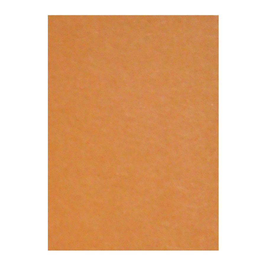 （まとめ買い）リンテック 色画用紙 ニューカラー 4切判 392×542mm 100枚 おうどいろ GO4NCR-210 〔×3〕