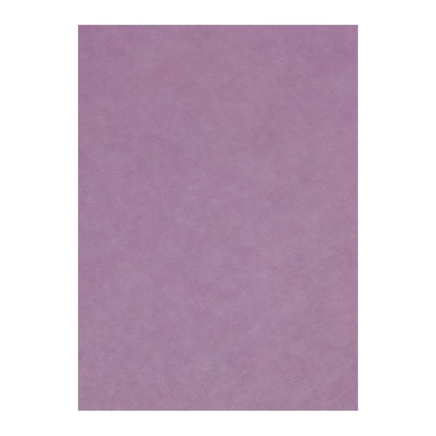 （まとめ買い）リンテック 色画用紙 ニューカラー 4切判 392×542mm 100枚 あかむらさき GO4NCR-231〔×3〕