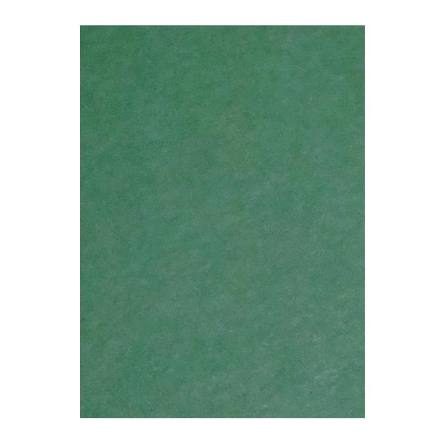 （まとめ買い）リンテック 色画用紙 ニューカラー 4切判 392×542mm 100枚 オリーブ GO4NCR-316 〔×3〕
