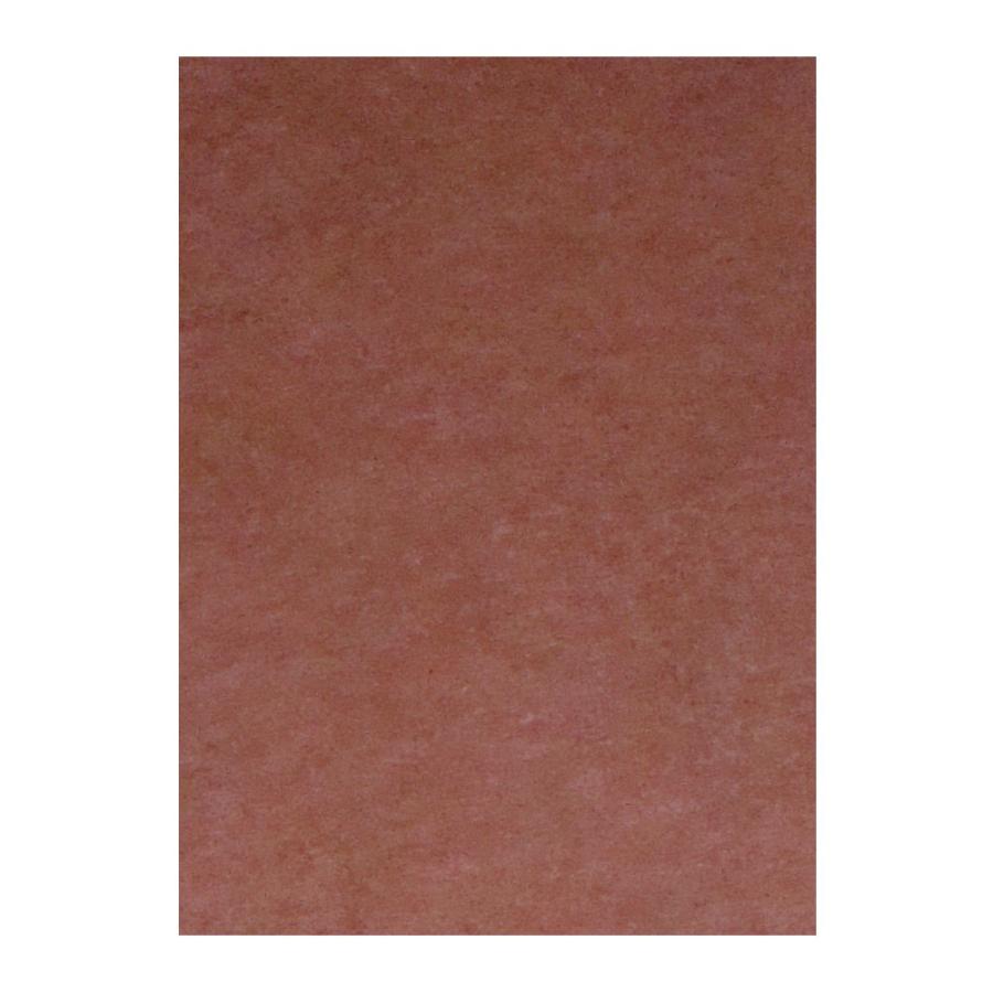 （まとめ買い）リンテック 色画用紙 ニューカラー 4切判 392×542mm 100枚 こいこげちゃ GO4NCR-323〔×3〕