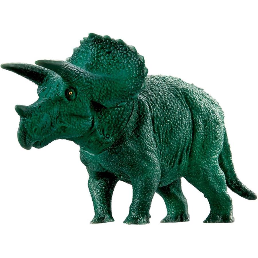 【トリケラトプス】CACUTUS GREEN血統、直子株③ トリケラトプス】CACUTUS GREEN血統、直子株③ 2689