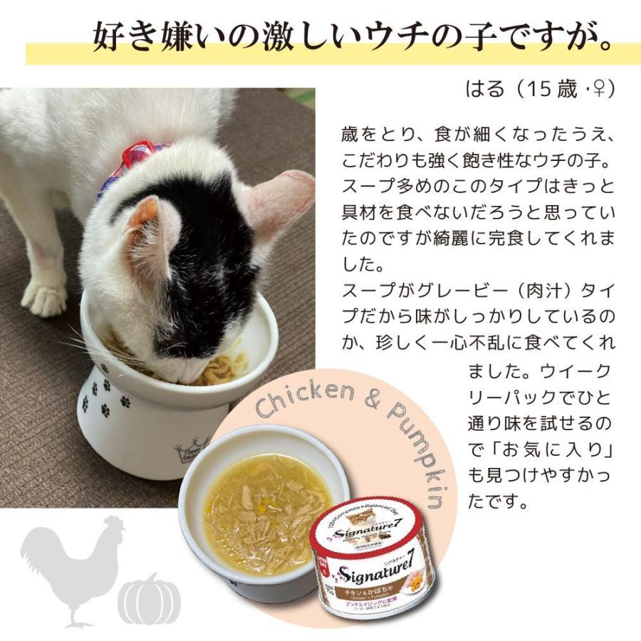 ファンタジーワールド シグネチャー7 チキン＆かぼちゃ 70g 猫用フード｜kireshop｜07