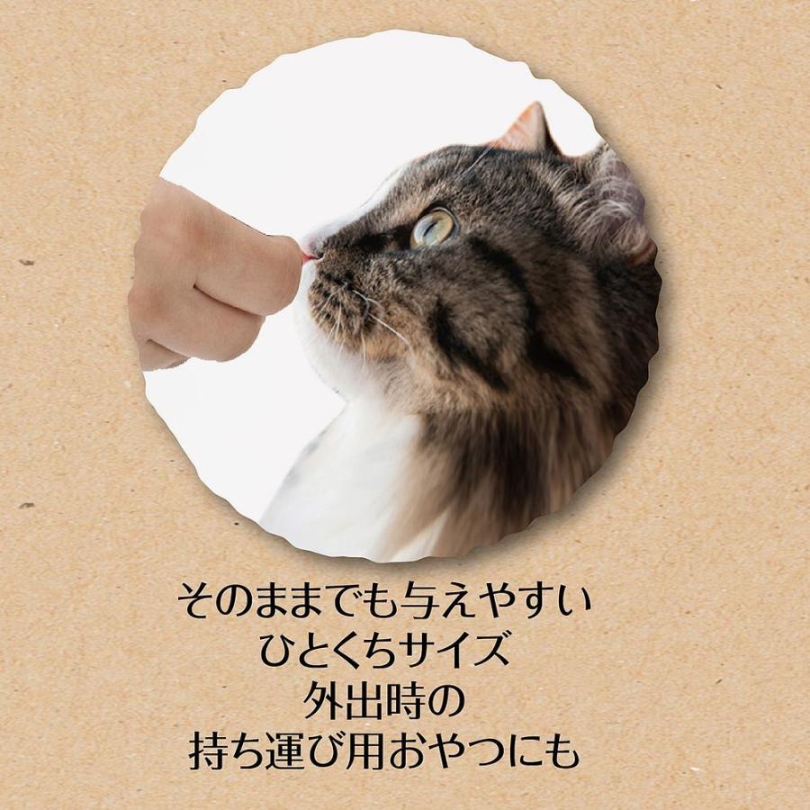 ペティオ 素材そのまま フリーズドライ For Cat フィッシュMIX 9g 猫用おやつ｜kireshop｜03