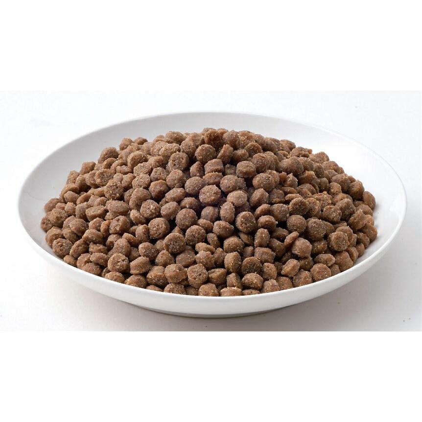 マルカン サンライズ THE・PERFECT ONE ソフト チキン 成犬用 500g 犬