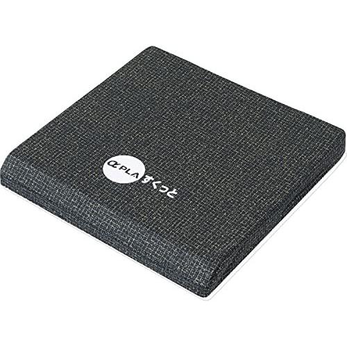 タイカ(Taica) アルファプラすくっとクッション SKTCA-4040
