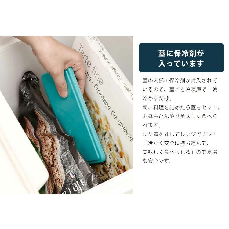 ひんやり ランチボックス お弁当箱 GEL-COOL dome Sサイズ ジェル