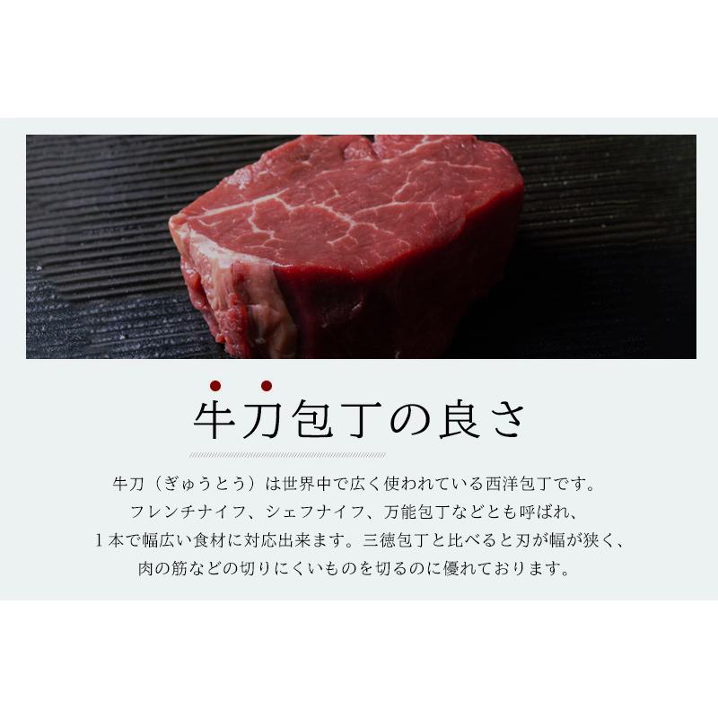 包丁 関の刃物 隆久 牛刀包丁 日本鋼 ハガネ 鋼 刃渡り 180mm 黒合板