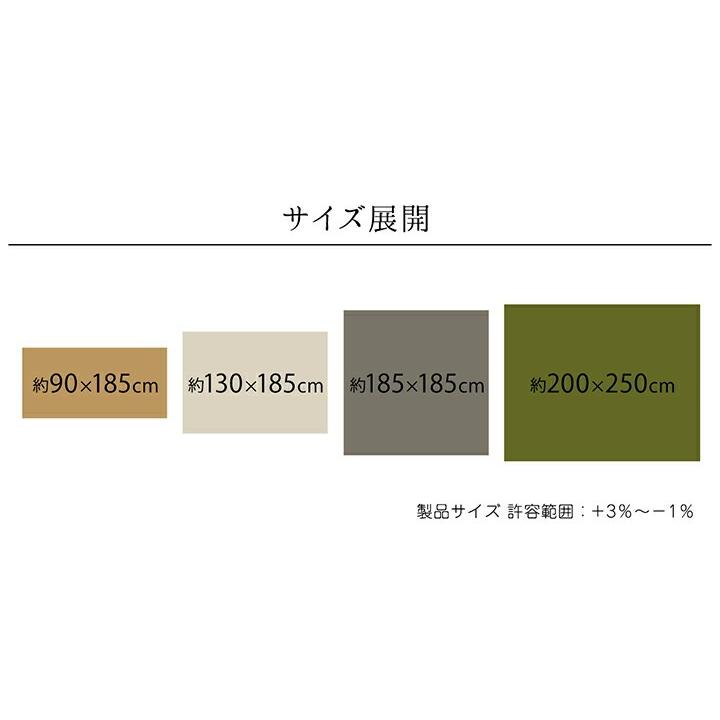 カーペット 絨毯 無地ラグ ラグ 約2畳/185×185cm 撥水カーペット オールシーズン 洗濯可能 洗える 滑りにくい加工 床暖房対応 もでるの ikh メーカー直送