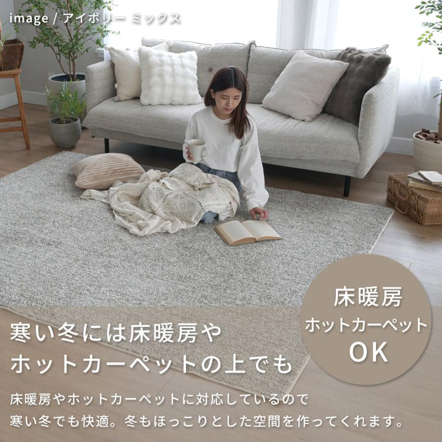 ERARE（エラーレ） 在庫限り カーペット 絨毯 ラグ ラグマット