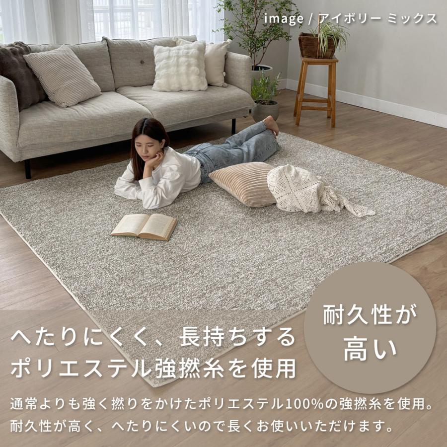 ERARE（エラーレ） 在庫限り カーペット 絨毯 ラグ ラグマット