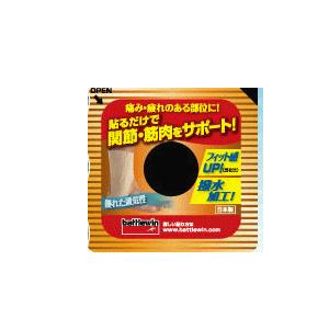 NICHIBAN（ニチバン） バトルウィン セラポアテープ撥水タイプ 75mm