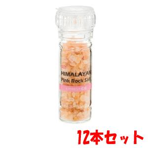 12本セット 大同 ヒマラヤピンク岩塩 ミル付き 100g 12個セット 食品 調理塩 軽減税率対象商品 キリン堂通販shop Paypayモール店 通販 Paypayモール