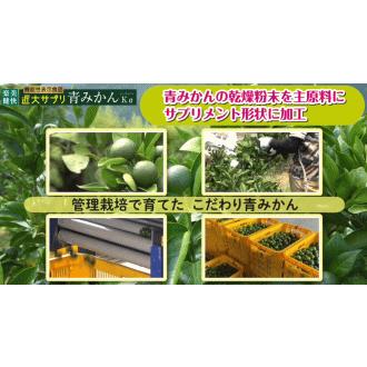 FINE JAPAN 楽美健快 近大サプリ 青みかんKα 270粒【機能性表示食品