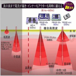 送料無料 (株)テクノリード フロイデ 本体 業務用 50万Hz 4De NFD-4×1
