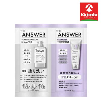Kao（花王） THE ANSWER DAILY ピロー 28g デイリーダメージ
