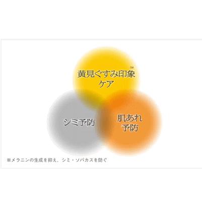 SOFINA iP 企画品 数量限定 10日間サイズ 花王 ソフィーナIP薬用 角層