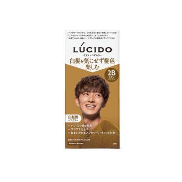 LUCIDO（ルシード） マンダム デザインヘアカラー 2B モダンブラウン