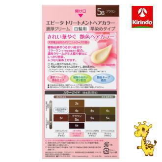 Kanebo（カネボウ） カネボウ化粧品 エビータ トリートメントヘア 