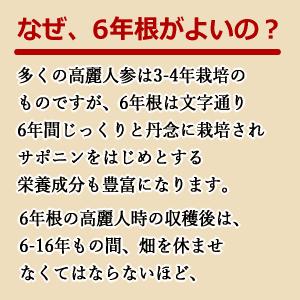 スノーデン 送料無料 温活におすすめ 紅蔘 四物飲料 720ml×1個 軽減