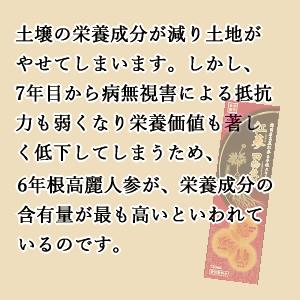 送料無料 温活におすすめ スノーデン 紅蔘 四物飲料 720ml×1個 【軽減税率対象商品】6年根 高麗人参 ショウガ カンカ クコ紅人参｜kirindo｜03