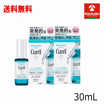 Curel 送料無料 2個セット 花王 キュレル 潤浸保湿 角層深部バリア美容