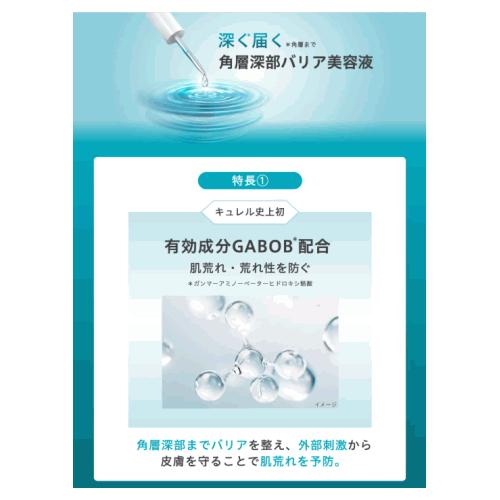Curel 送料無料 2個セット 花王 キュレル 潤浸保湿 角層深部バリア美容
