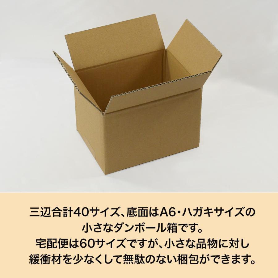 桐パック ダンボール 段ボール箱 40サイズ A6 10枚 宅配60 小型 小物