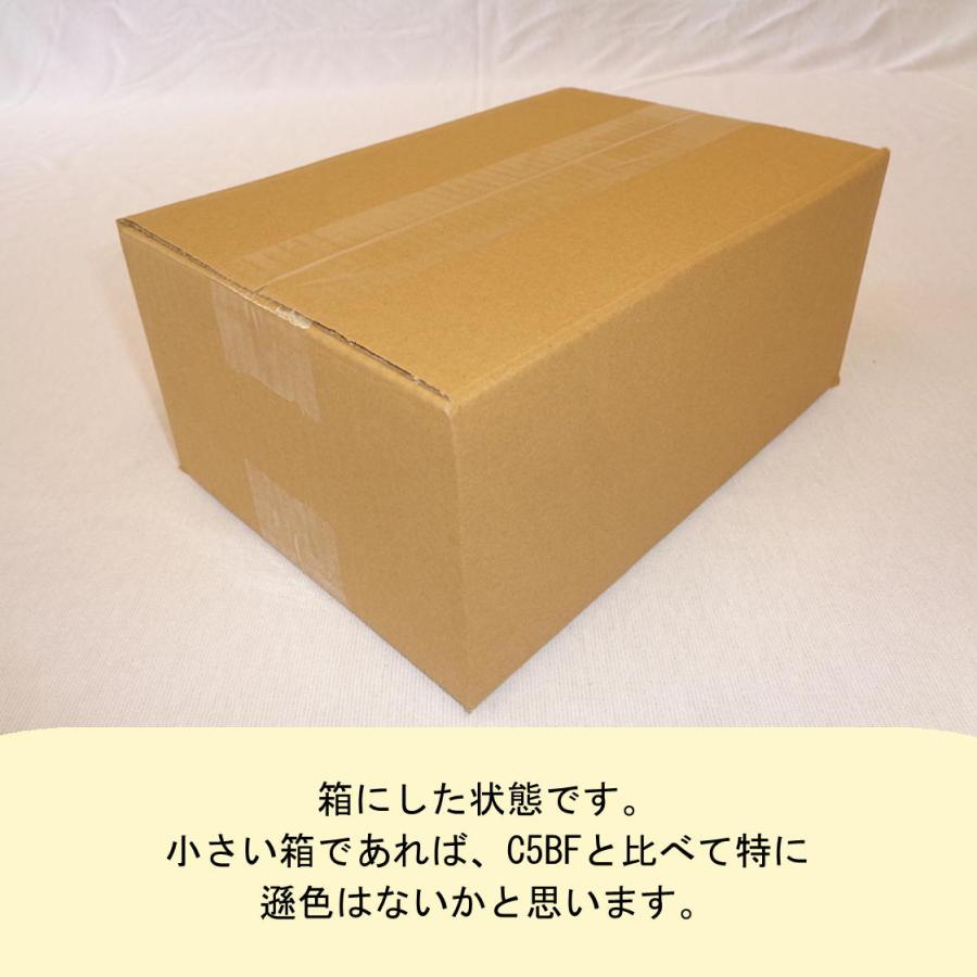 桐パック 段ボール ダンボール箱 50サイズ A5 国産 50枚セット 宅配60