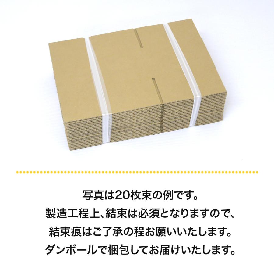 桐パック 新価格 段ボール ダンボール箱 50サイズ 10枚セット 宅配60