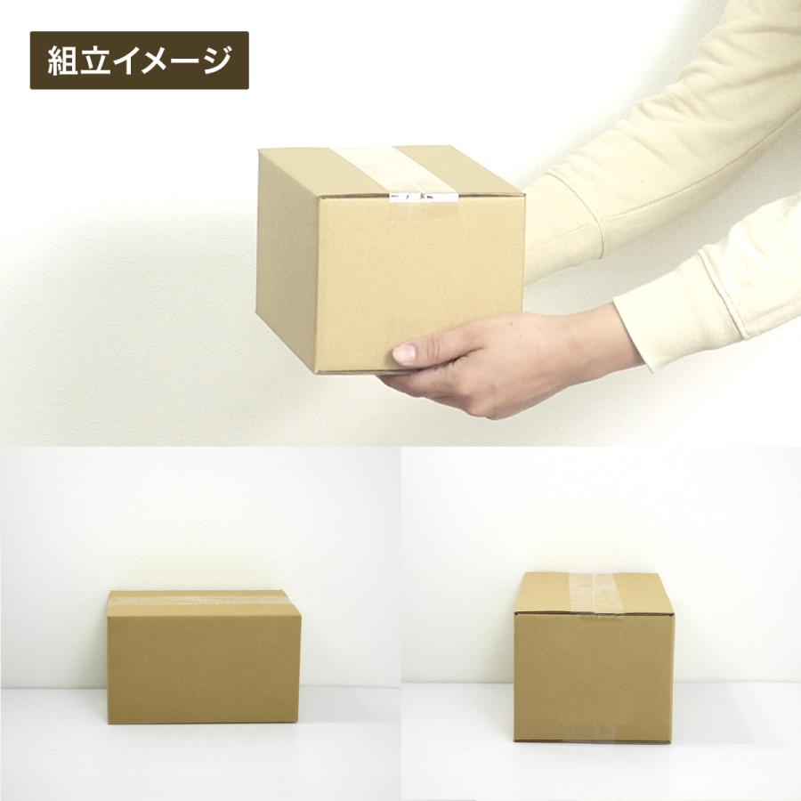 桐パック 新価格 段ボール ダンボール箱 50サイズ 10枚セット