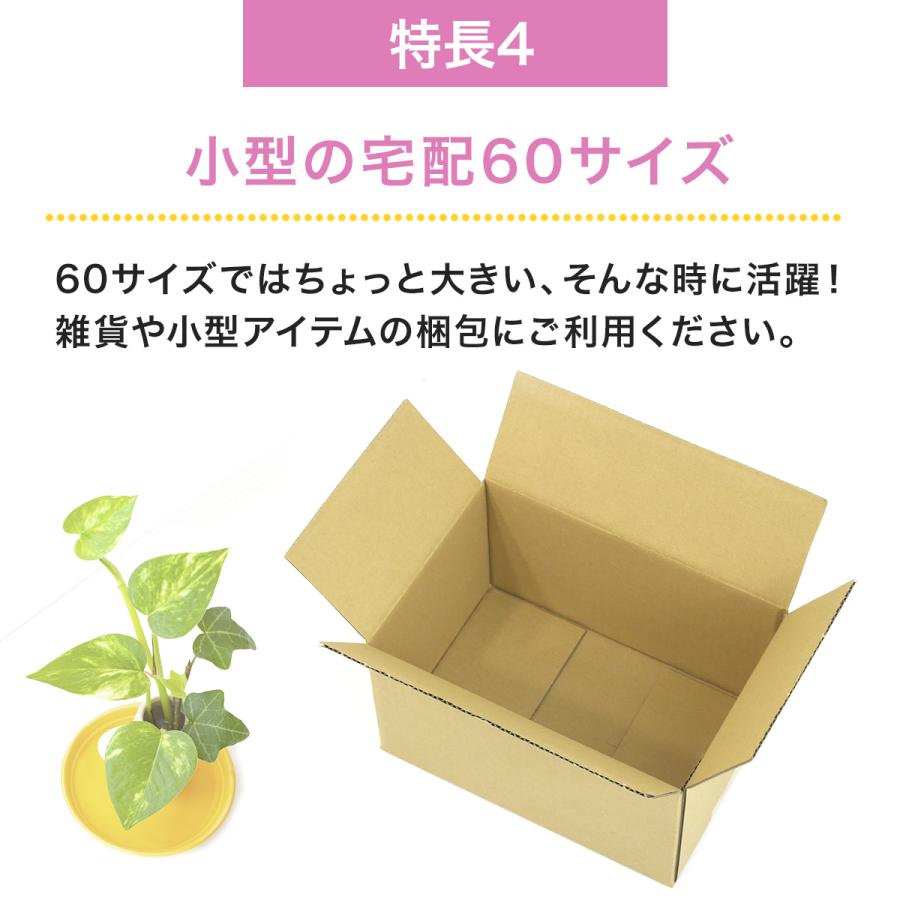 桐パック 新価格 段ボール ダンボール箱 50サイズ 50枚セット 宅配60