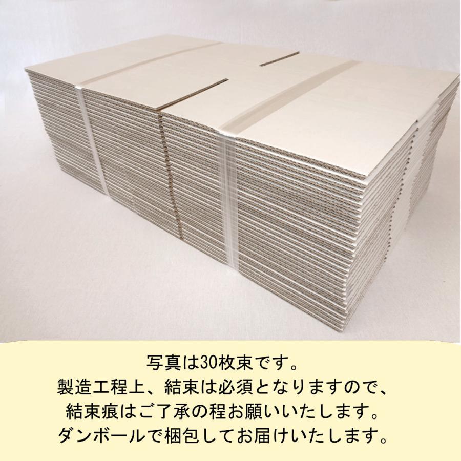 桐パック 段ボール 白 ダンボール箱 60サイズ A4 国産 10枚セット