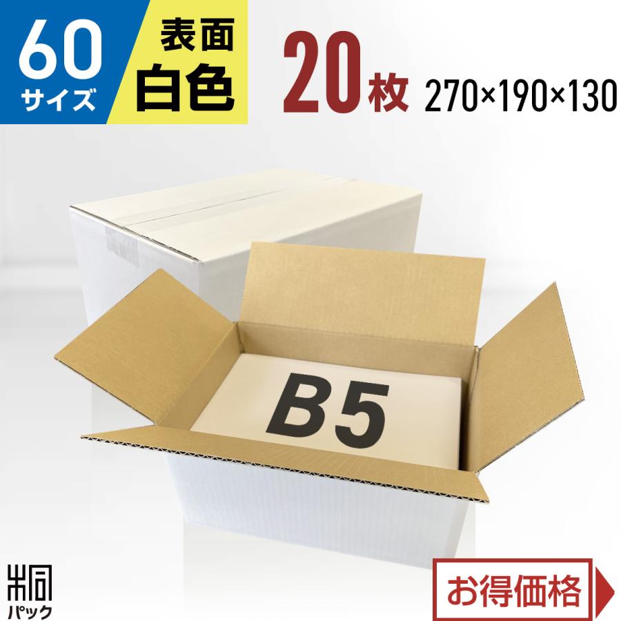 桐パック 段ボール 白 ダンボール箱 60サイズ B5 国産 20枚セット