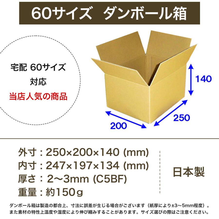 桐パック 段ボール ダンボール箱 60サイズ 国産 100枚セット 定番 小型