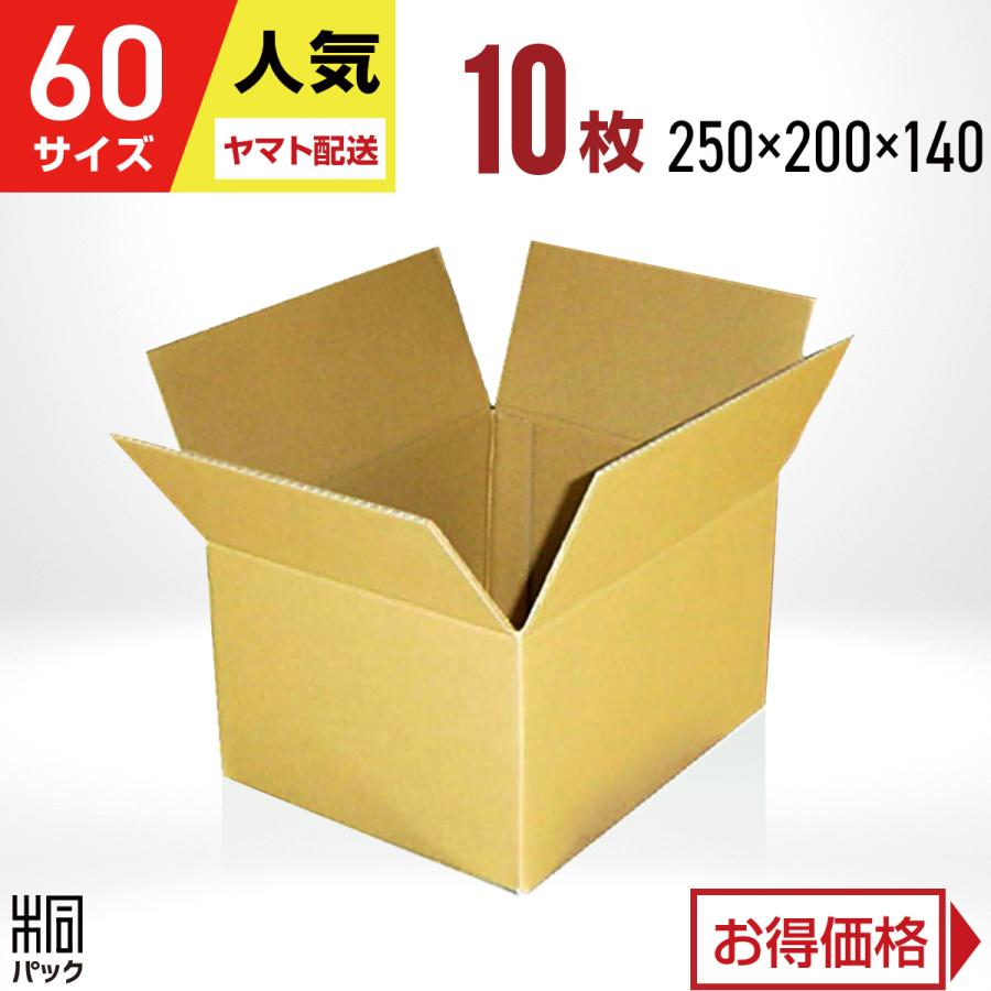 桐パック 段ボール ダンボール箱 60サイズ 国産 10枚セット 定番 小型