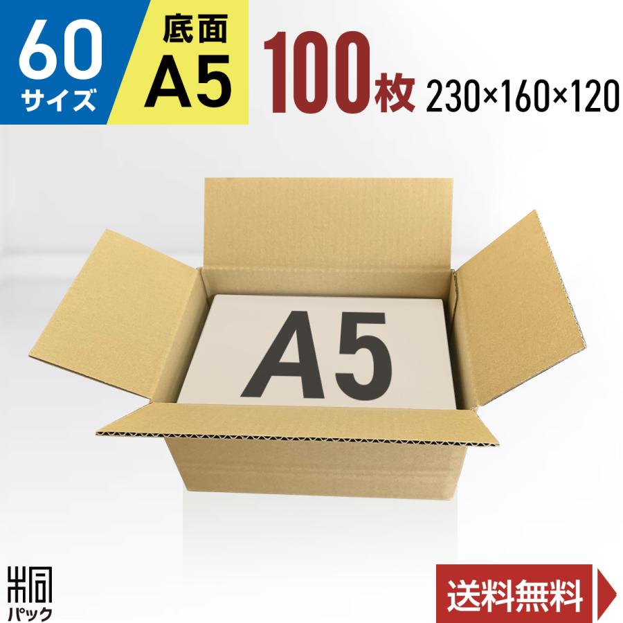 桐パック 段ボール ダンボール箱 60サイズ A5 国産 100枚セット 調整