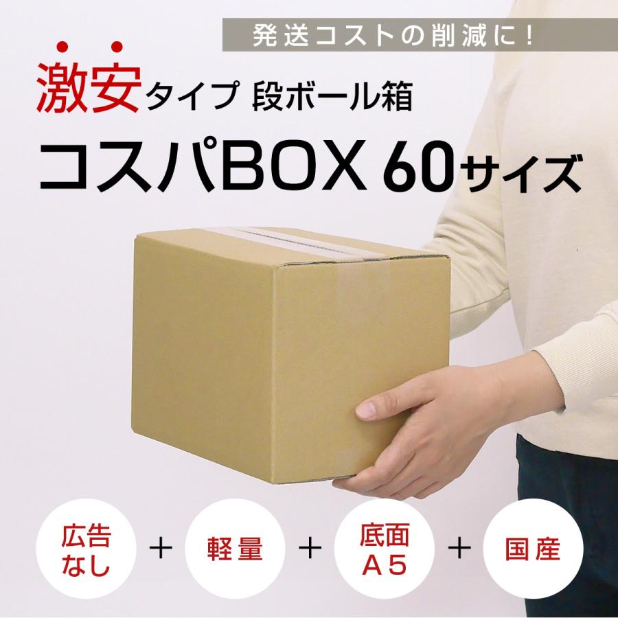 桐パック 激安 段ボール 段ボール箱 60サイズ A5 100枚 小さい 広告