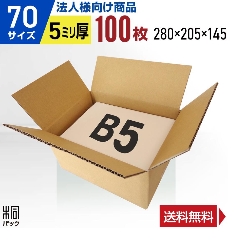 桐パック 段ボール ダンボール箱 70サイズ 宅配80サイズ B5 国産 100枚