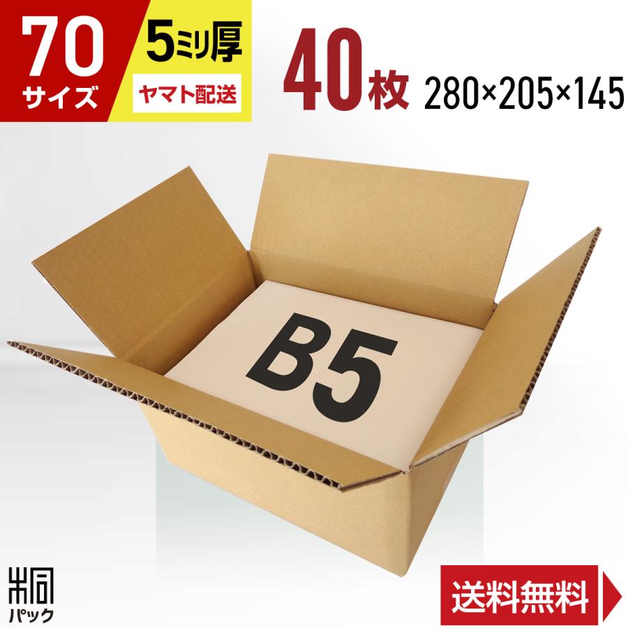 桐パック 段ボール ダンボール箱 70サイズ 宅配80サイズ B5 国産 40枚